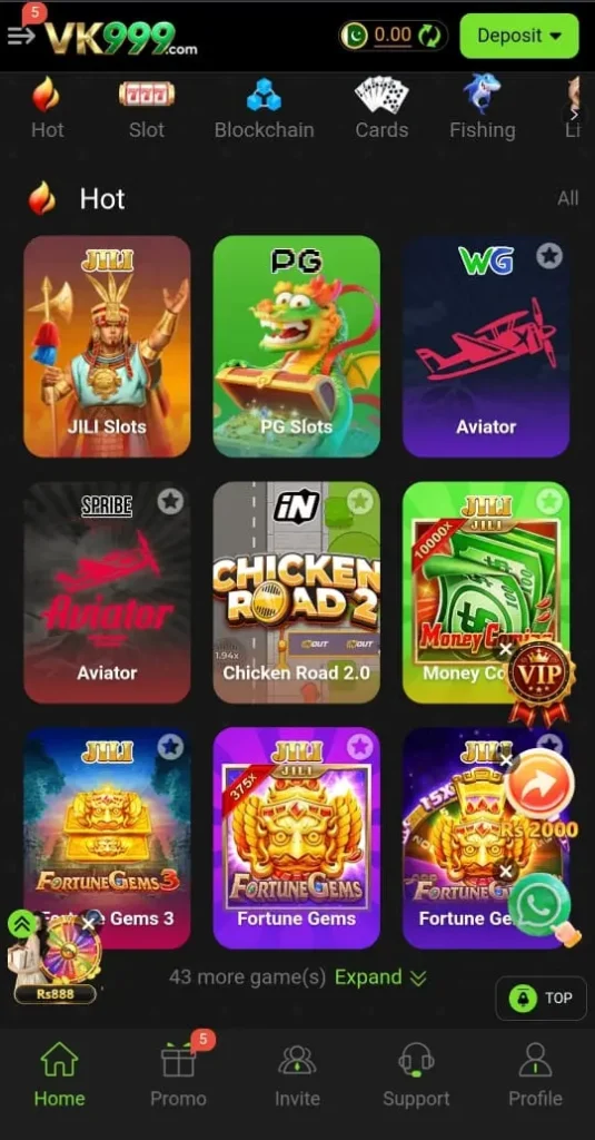 VK999 Game interface screenshot image.
